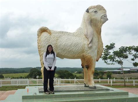 Crystal and Bryan in Singapore: Malaysia Day Trip: Down on the Farm