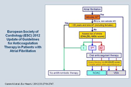 European Society of Cardiology (ESC) 2012 Update of Guidelines for ...