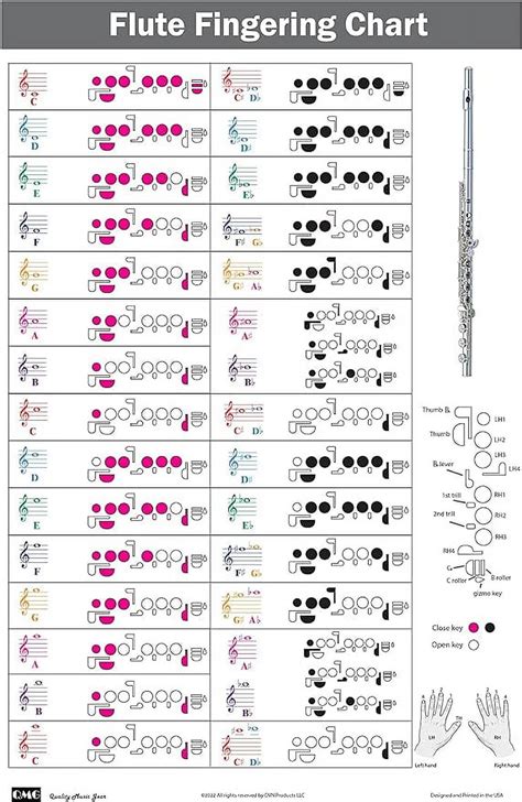 flute note chart for beginners Flute keys explained at jessie lopez blog