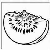 Cantaloupe Outline Black And White Cute coloring Book  Premium AI sketch template