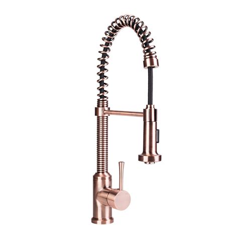 Brienza Residential Single-Handle Spring Coil Pull-Down Sprayer Kitchen ...