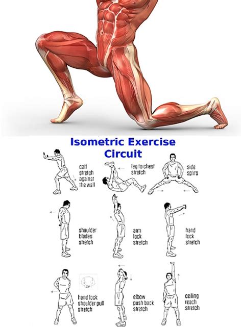 best Isometric Exercises For Legs - bodybuilding110 ~ www ...