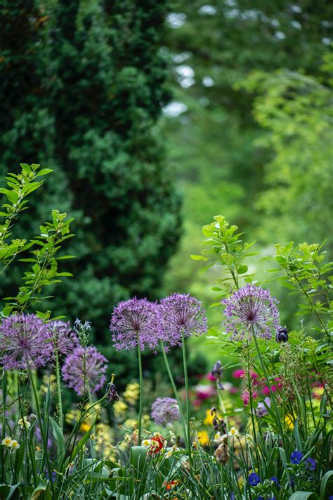 Planting Calendar: what to plant month by month - Growing Family