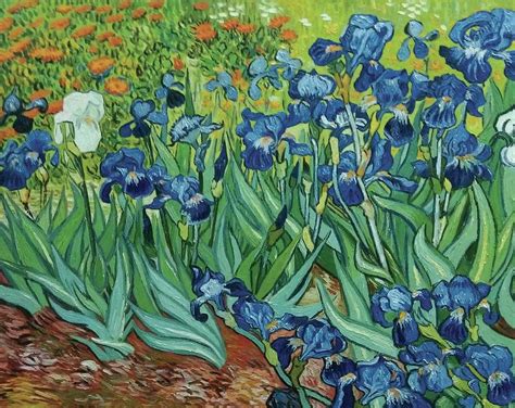 Irises Vincent Van Gogh