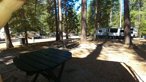 Lake Siskiyou Camp-Resort | BookYourSite