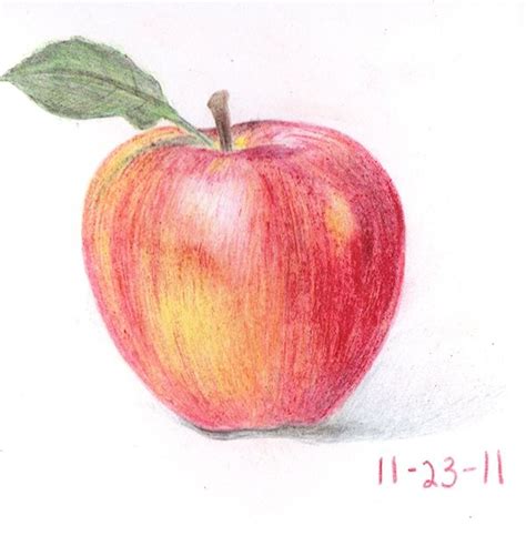 Color Pencil Drawing of an Apple