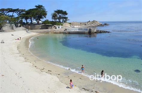 10 BEST Things at Lover's Point Beach - swim, dogs, history