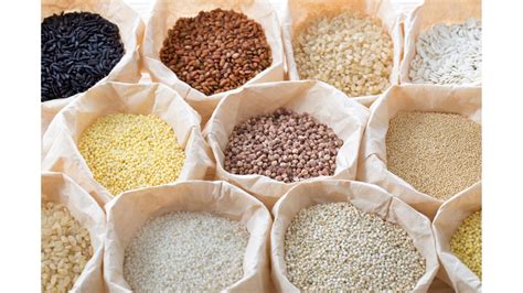 Millet Types and Its benefits - Millesbury