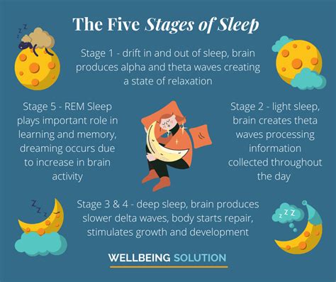 Five Stages of Sleep | Stages of sleep, 5 stages of sleep, Sleep cycle