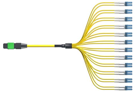 MPO Breakout Cable, 24-Fiber, Single-mode, 200ft