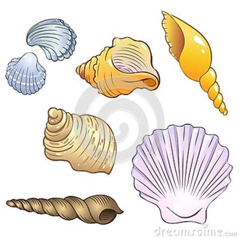 Seashell Cartoon