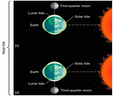 INDIA WAVE: Tides ( Moon and Earth's phenomenal changes )