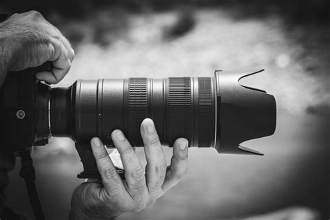 What's the Best Lens for Wildlife Photography? - Nature TTL