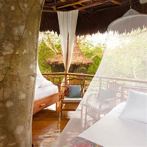 Treehouse Lodge The Amazon Iquitos Peru