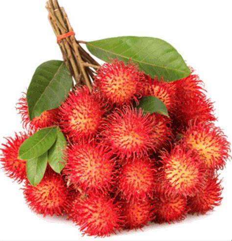 Top 97+ Pictures Images Of Rambutan Fruit Superb