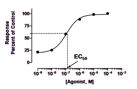 Calculate Ic50 Using Graphpad Prism