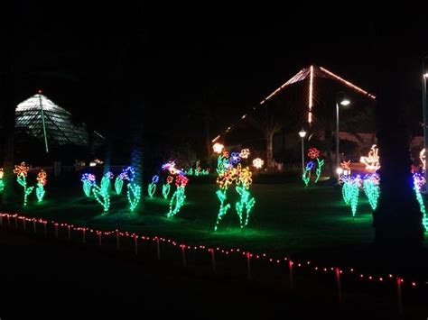 Moody Gardens Festival of Lights - Clumsy Crafter