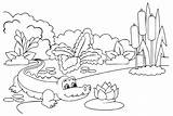 Crocodile Coloring Sheet  Free Printable Pages sketch template