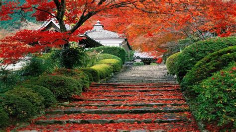 Japanese Tea Garden Wallpapers - Top Free Japanese Tea Garden Backgrounds - WallpaperAccess