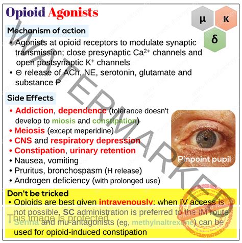 Opioid agonists, introduction - Medicine Keys for MRCPs