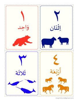 Eastern Arabic Numerals Flashcards - Arabic names by Insight NR | TpT