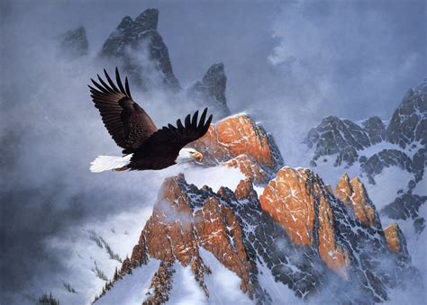 Eagle Flying HD Wallpapers - Top Free Eagle Flying HD Backgrounds ...