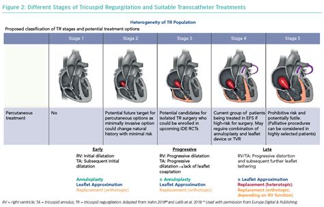 Update on the Current Landscape of Transcatheter Options for Tricuspid Regurgitation Treatment ...