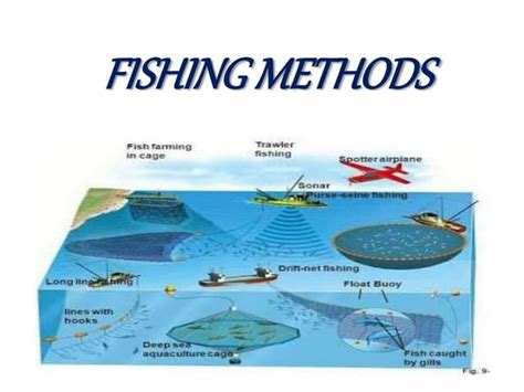 Fishing methods | PPT