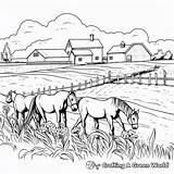 Horse Farm Coloring Pages  Free & Printable sketch template