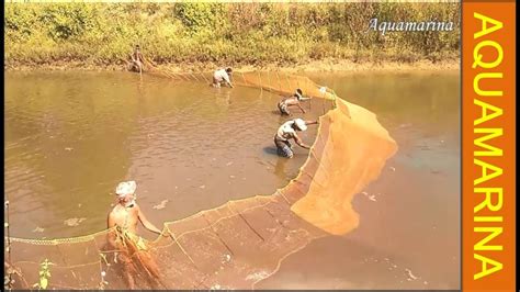 How to use drag net for fishing | Dragnet fishing technique | fish catching methods - YouTube