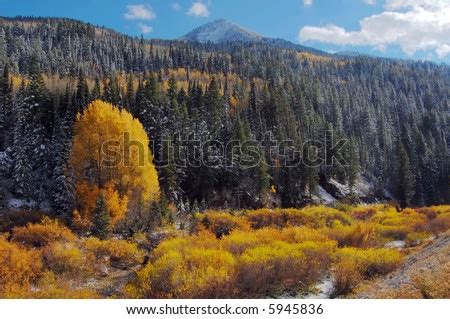 Fall Colors- Big Cottonwood Canyon, Utah Stock Photo 5945836 : Shutterstock