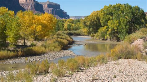 Visit Dolores: 2024 Travel Guide for Dolores, Colorado | Expedia