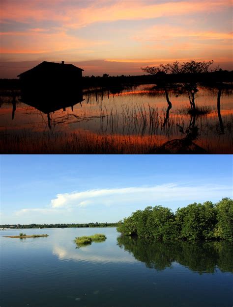 Pasikuda Beach, Sri Lanka #SriLanka #Sunrise #Pasikuda #Lagoon | Tourist destinations, Natural ...