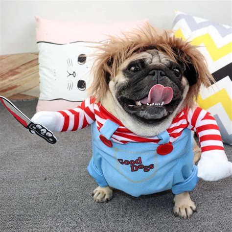 Chucky Dog Costume: Funny Halloween Costume Idea