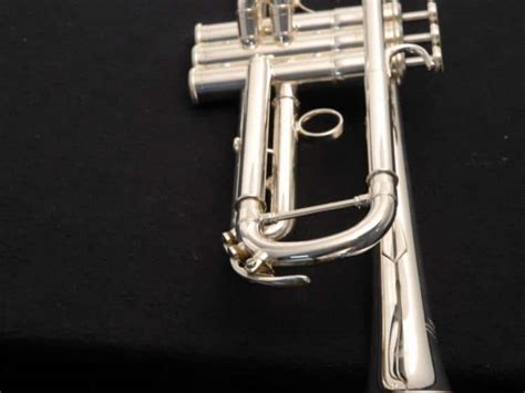 4 Best Yamaha Trumpets Reviewed in Detail [Oct. 2024]