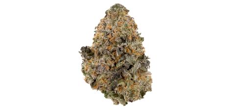 Understanding The Effects of the Gelato 33 Strain