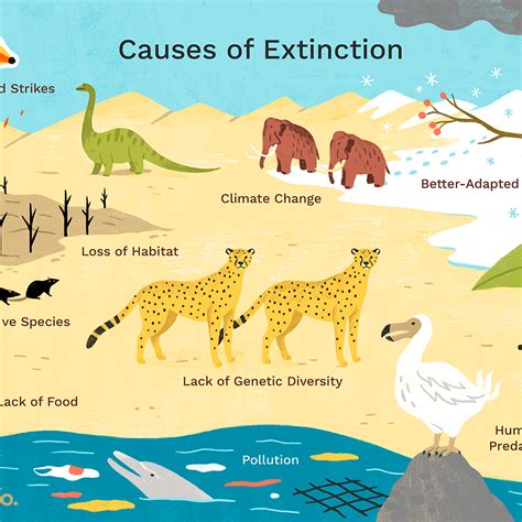 Animals Extinction