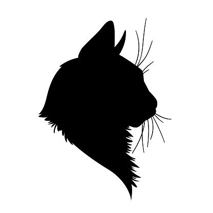 Fluffy Black Cat Silhouette ~ Cat Silhouette Fluffy Vector | Bodenuwasusa