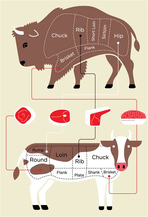 Bison vs. Beef Meat - Consumer Reports Magazine