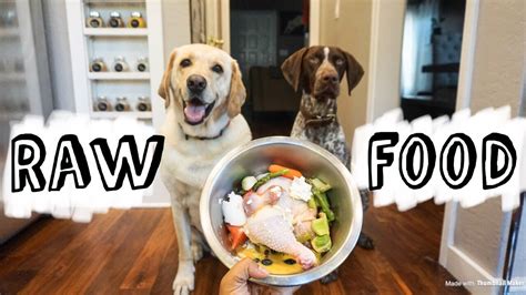 6 Benefits of a Raw Dog Food Diet | DogListen.com