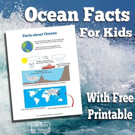 Ocean Facts for Kids - itsybitsyfun.com