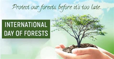 International Day Of Forests Theme,Images,Quotes - 21 March