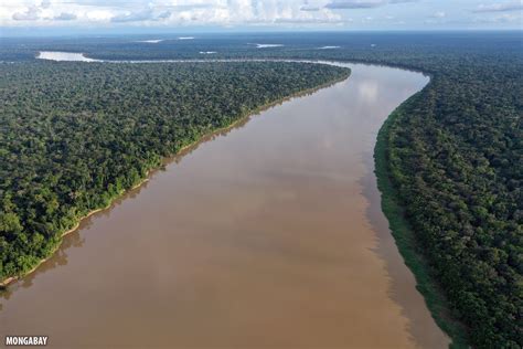 Bird's eye view: Drone photos of the Amazon rainforest (insider)