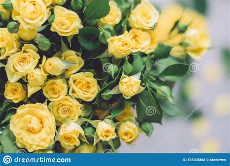 Yellow Roses - Wedding, Holiday and Floral Garden Styled Concept Stock Photo - Image of elegance ...