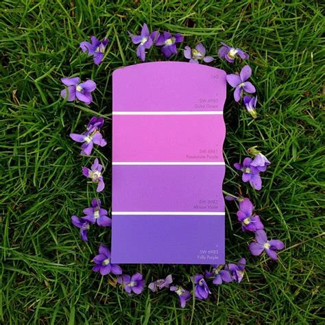 Color inspiration is all around – you just have to look for it. | Purple paint colors, Sherwin ...