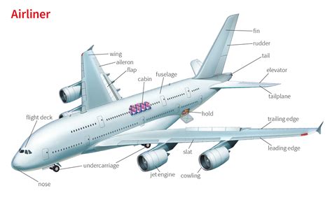 rudder noun - Definition, pictures, pronunciation and usage notes | Oxford Advanced Learner's ...