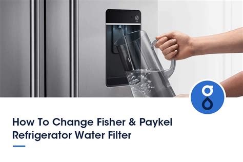 10 Easy Steps to Change Your Fisher & Paykel Water Filter and Ensure ...