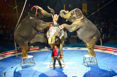 For boys and girls of all ages, the Jordan World Circus is coming to Butte | Entertainment ...