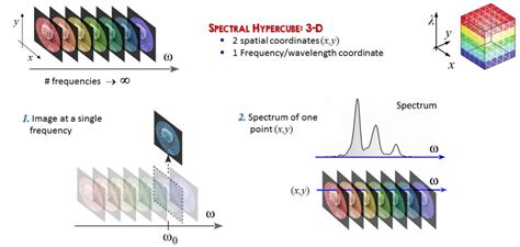 Hyperspectral Imaging and Microscopy – Ultrafast spectroscopy group @Polimi