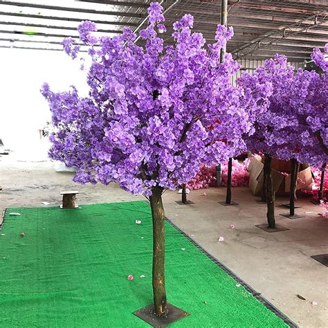 Purple Cherry Blossom Tree | ubicaciondepersonas.cdmx.gob.mx